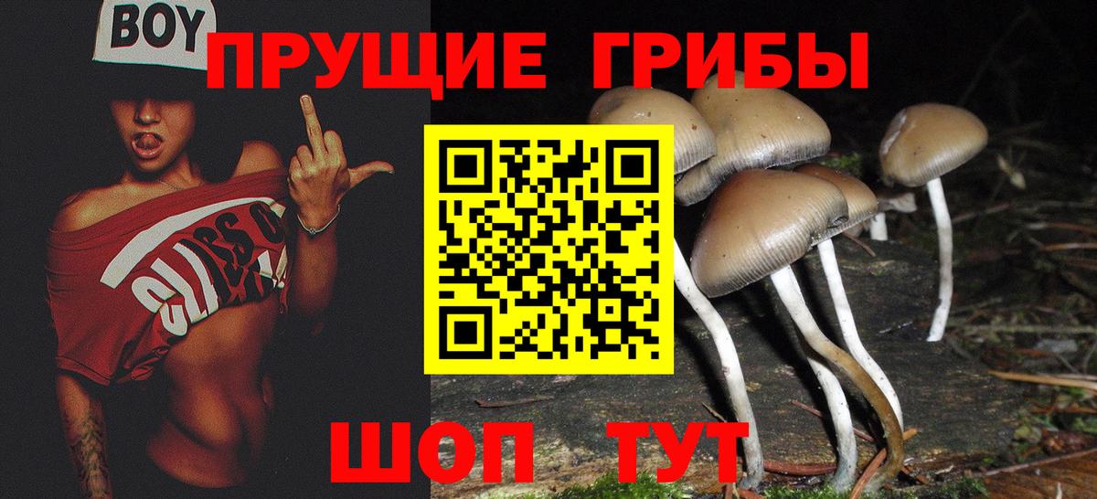 Ногинск  Галлюциногенные грибы Magic Shrooms  Псилоцибиновые грибы Magic Shrooms  Вход с VPN 